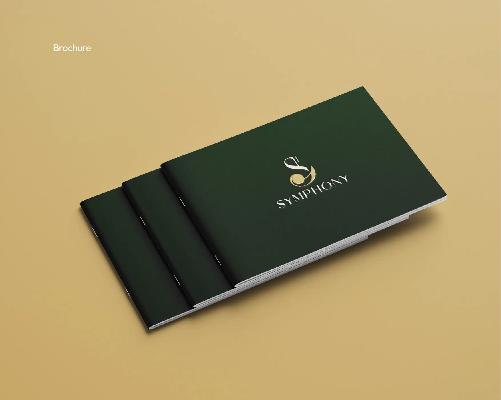 Brand book page showing the Symphony brochure